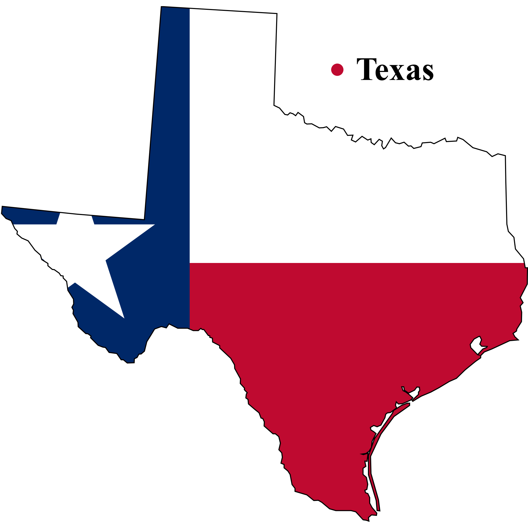 Texas Asset Investigator